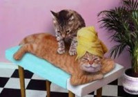 /album/fenykepgaleria/images009-jpeg/