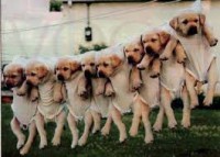 /album/fenykepgaleria/images-jpeg/