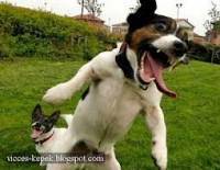 /album/fenykepgaleria/images005-jpeg/