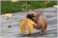 /album/fenykepgaleria/images008-jpeg/